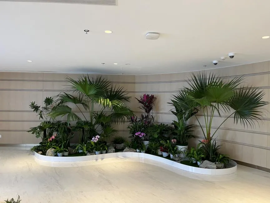 探寻宁波海曙花卉出租设计，解锁别样美丽><div class=